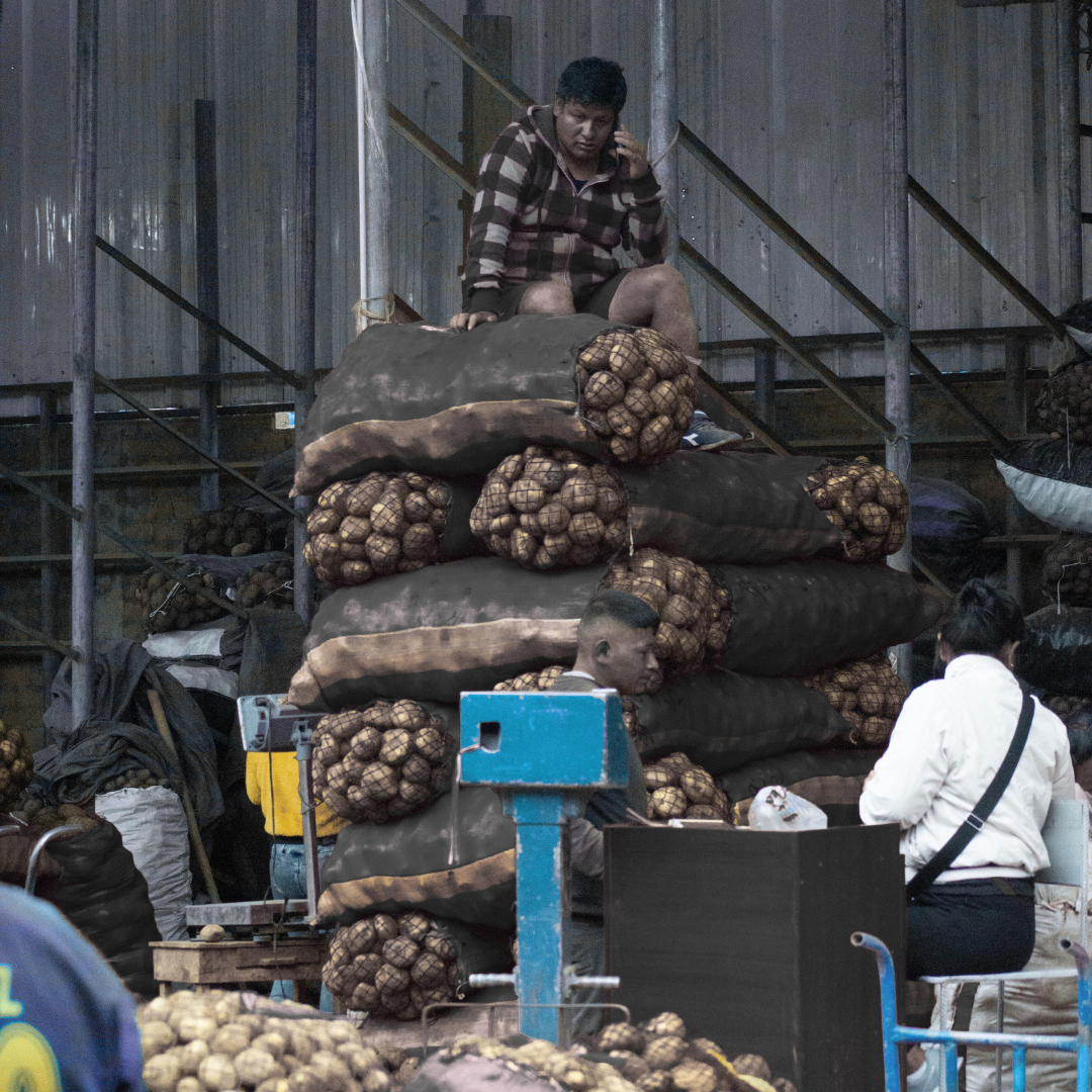 Informalidad Laboral y su Impacto en SST