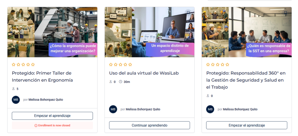 Aula virtual WasiLab SST Ergonomía Organización del Trabajo